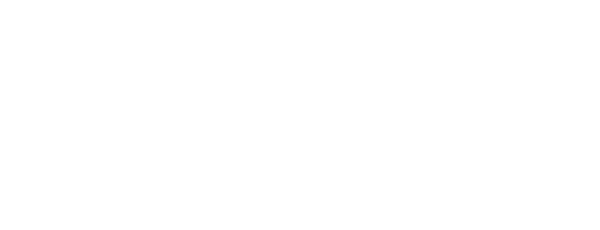 AUDIENT