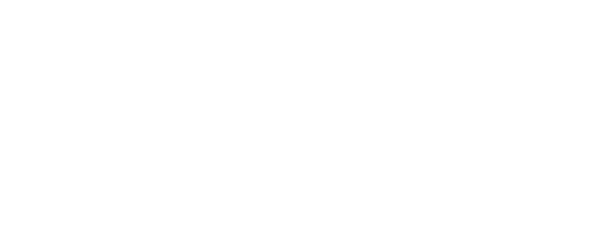 BEHRINGER