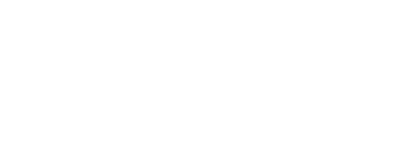 VICOUSTIC
